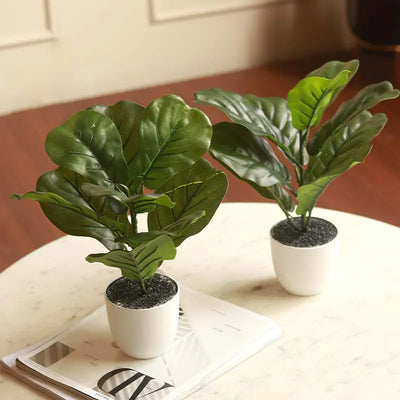 The Cameroon | Small Artificial Fiddle Leaf Plant in White Pot | 14 Inch |Set of 2