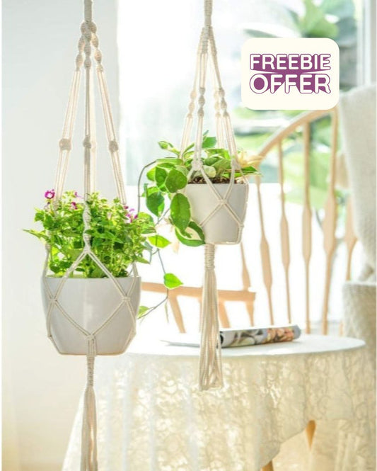 Hanging Solution for Indoor Pot Plants | Set of 2