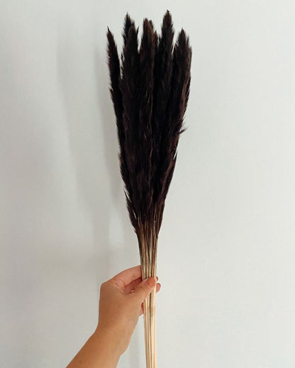 Dried Mini Pampas Grass Stems | Set Of 10 | 28 x  6 x 4 inches