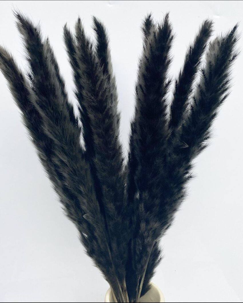 Dried Mini Pampas Grass Stems | Set Of 10 | 28 x  6 x 4 inches