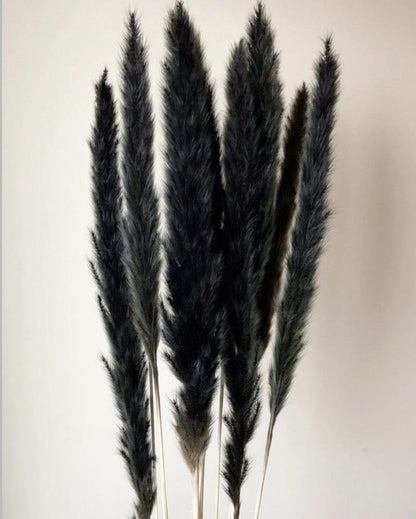 Dried Mini Pampas Grass Stems | Set Of 10 | 28 x  6 x 4 inches