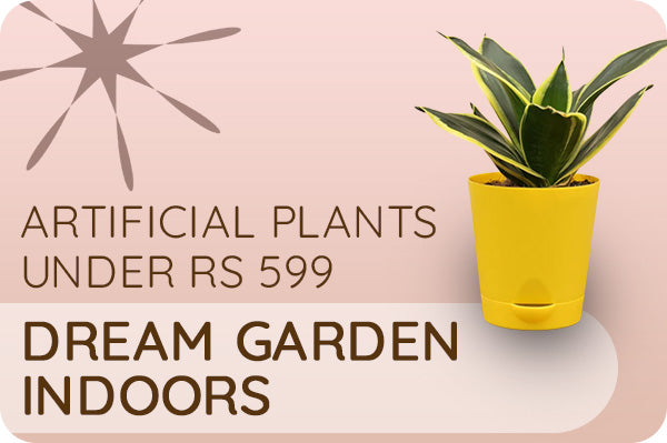 Buy Red and Black Flower Pots Wall Sticker Online at Low Prices in India 