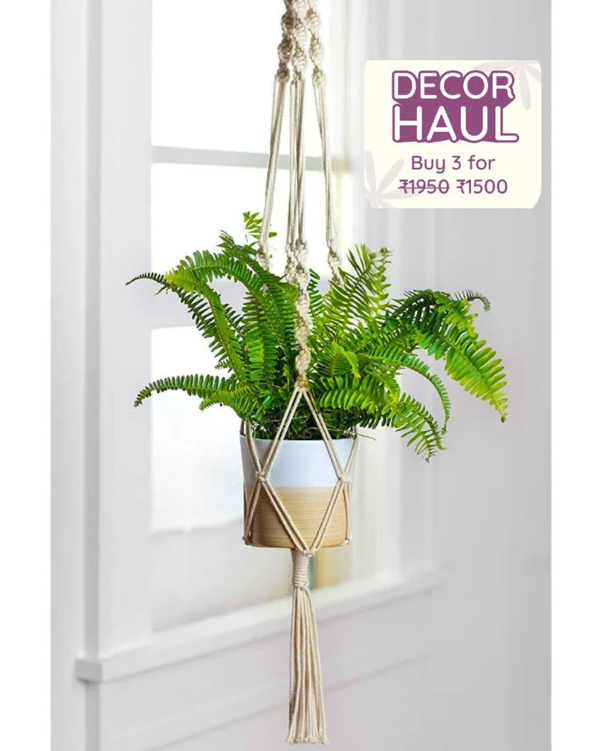 Braided Cotton Rope Plant Hanger