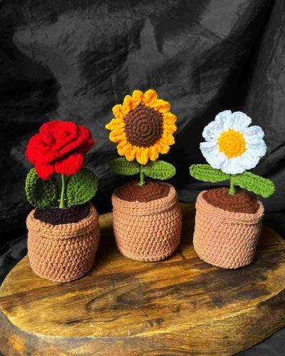 Unique Daisy Sunflower & Rose Woolen Crochet  Flower with Pot | Pack of 3 | 4 x 9 inches