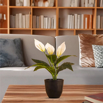 Elegant Black FRP Pots with Modern Design Without Plant | Set of 4 | 5 x 5 inches