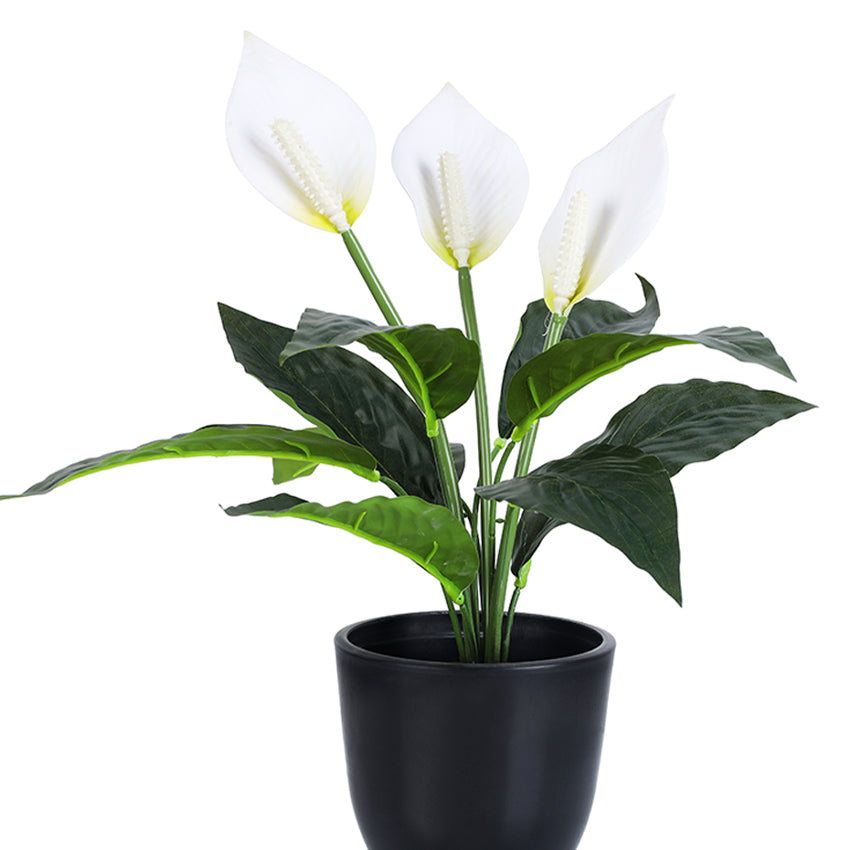 Elegant Black FRP Pots with Modern Design Without Plant | Set of 4 | 5 x 5 inches