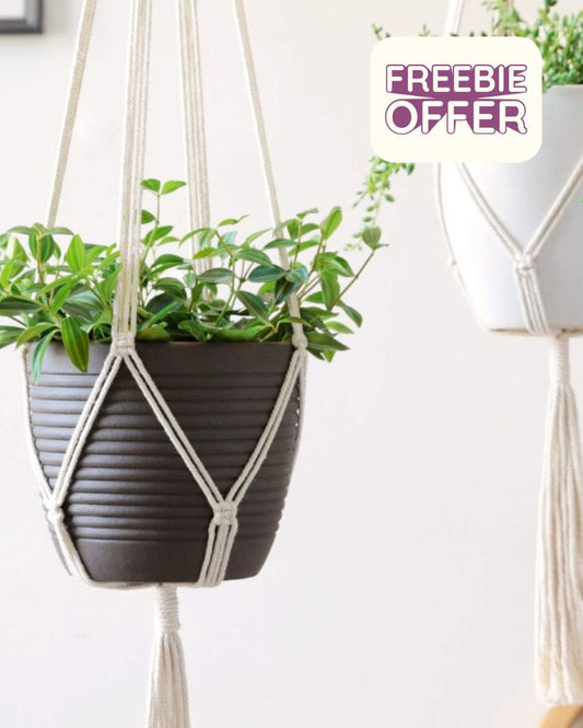 Hand-Crafted Plant Hanger | Set of 2