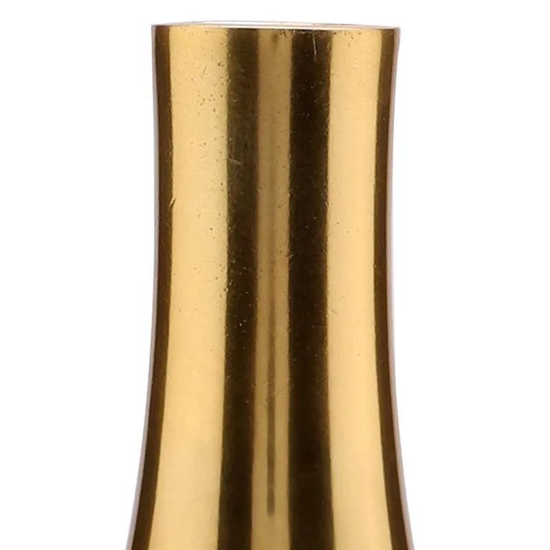 Elegant Design Champagne Bottle Table Vase Without Flower | 4 x 12 inches