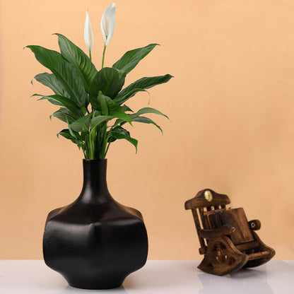 Verdant Metal Vase | Multiple Colors Black