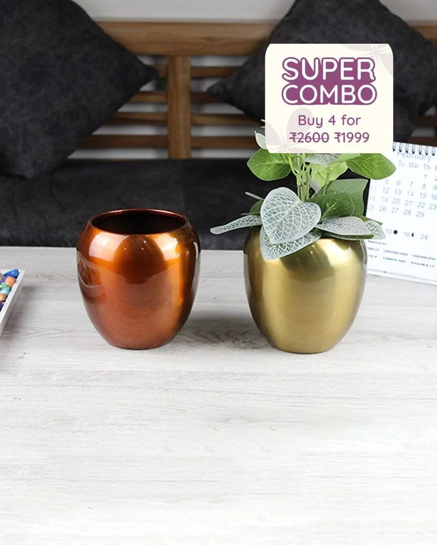 Brass Gleam Iron Pots | Set Of 2 | Plant Not Included