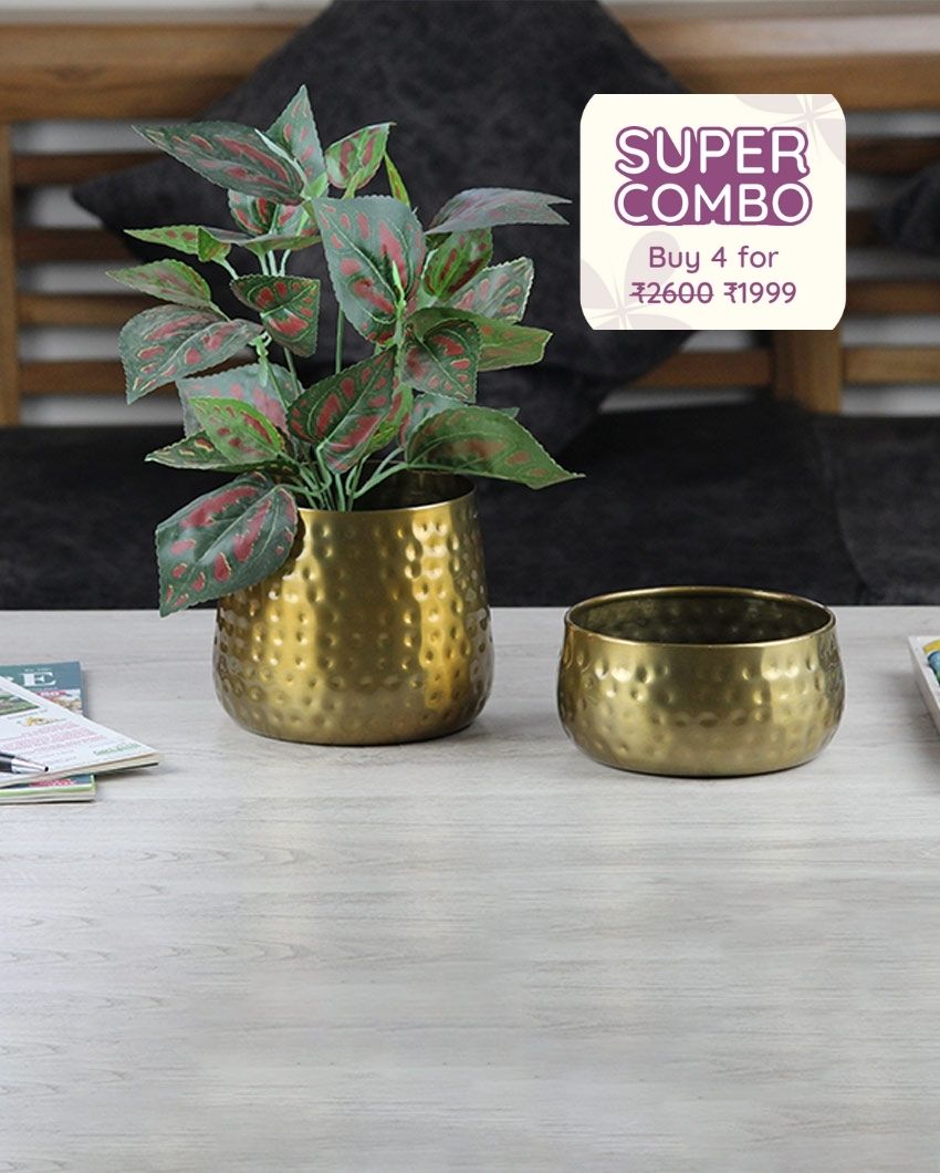 Hammered Iron Twin Planters Set | Set of  2 | Gold | Plant Not Included