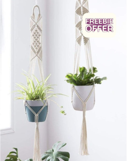Minimalist Hand Crafted Plant Hanger | Set of 2
