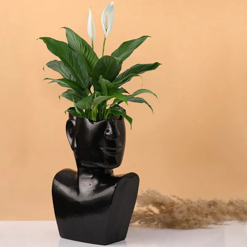 Visionary Face Planter | Multiple Colors Black