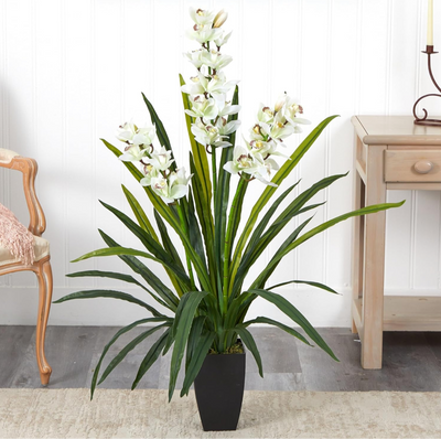 White Lily of the Valley Plant with Black Pot | 3 ft tall
