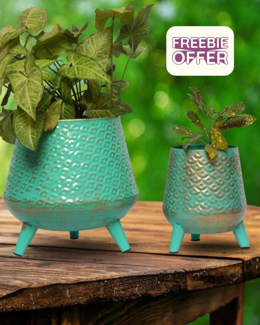 Green Hazel Metal Planter with Stand | Set of 2