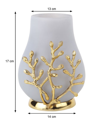 Radiant Elegance Versa lux Glass Vase | 6 x 7 inches