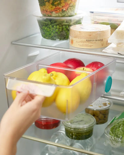 Handy Polypropylene Fridge Storage Bin