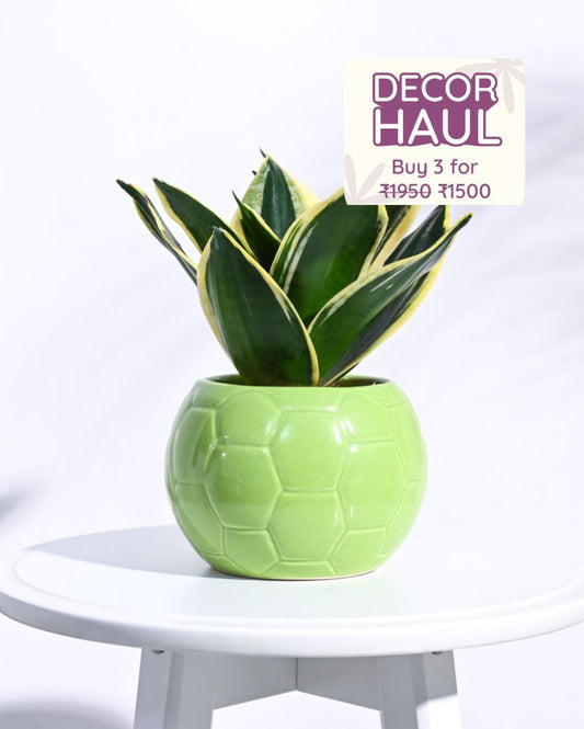 Light green Football Ceramic Pot