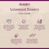 A New Day | Artificial | Solawood Flowers