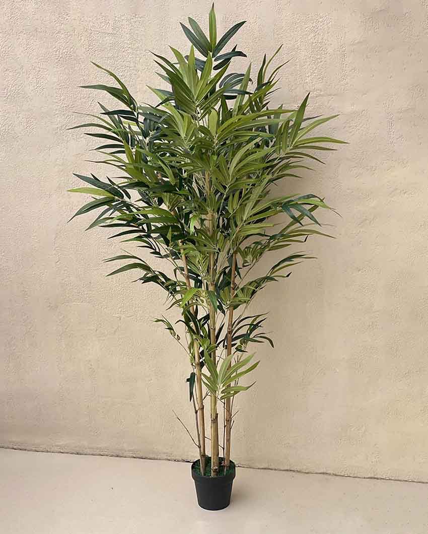 Artificial Bamboo Plant With Base Black Pot | 5.5 feet