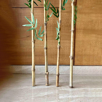 Artificial Green Bamboo Plant Without Pot | Set of 4 | 5 Feet