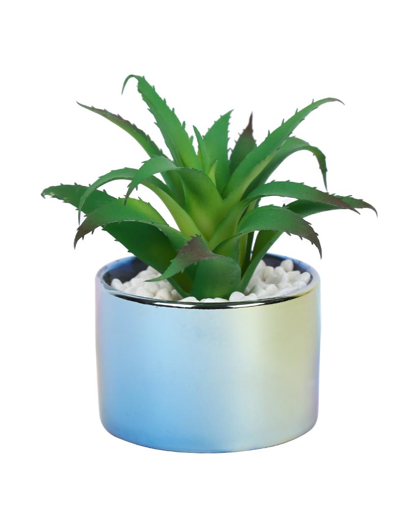 Haven Succulents Artificial Plant with Ceramic Pot | 5 inches