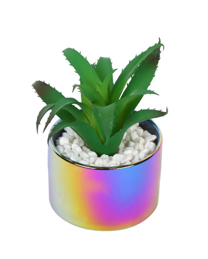 Haven Succulents Artificial Plant with Ceramic Pot | 5 inches