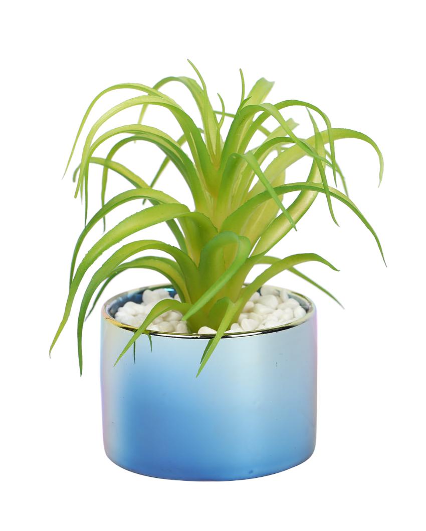 Relaxing Succulents Artificial Plant with Ceramic Pot | 5 inches