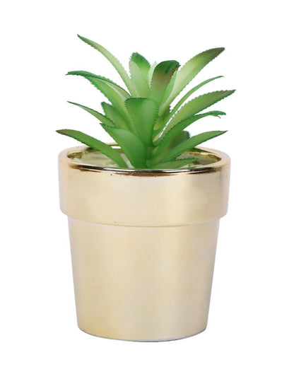 Minimalist Succulents Artificial Plant with Ceramic Pot | 6 inches