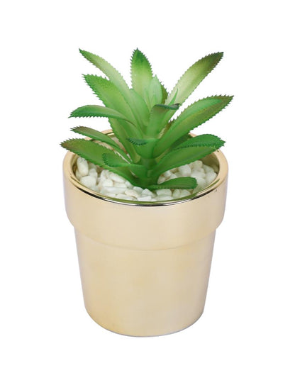 Minimalist Succulents Artificial Plant with Ceramic Pot | 6 inches