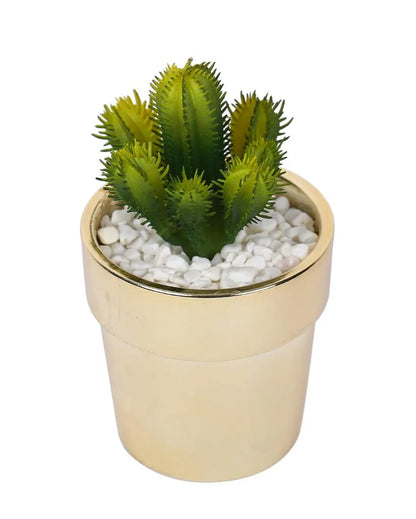 Clean Succulents Artificial Plant with Ceramic Pot | 6 inches