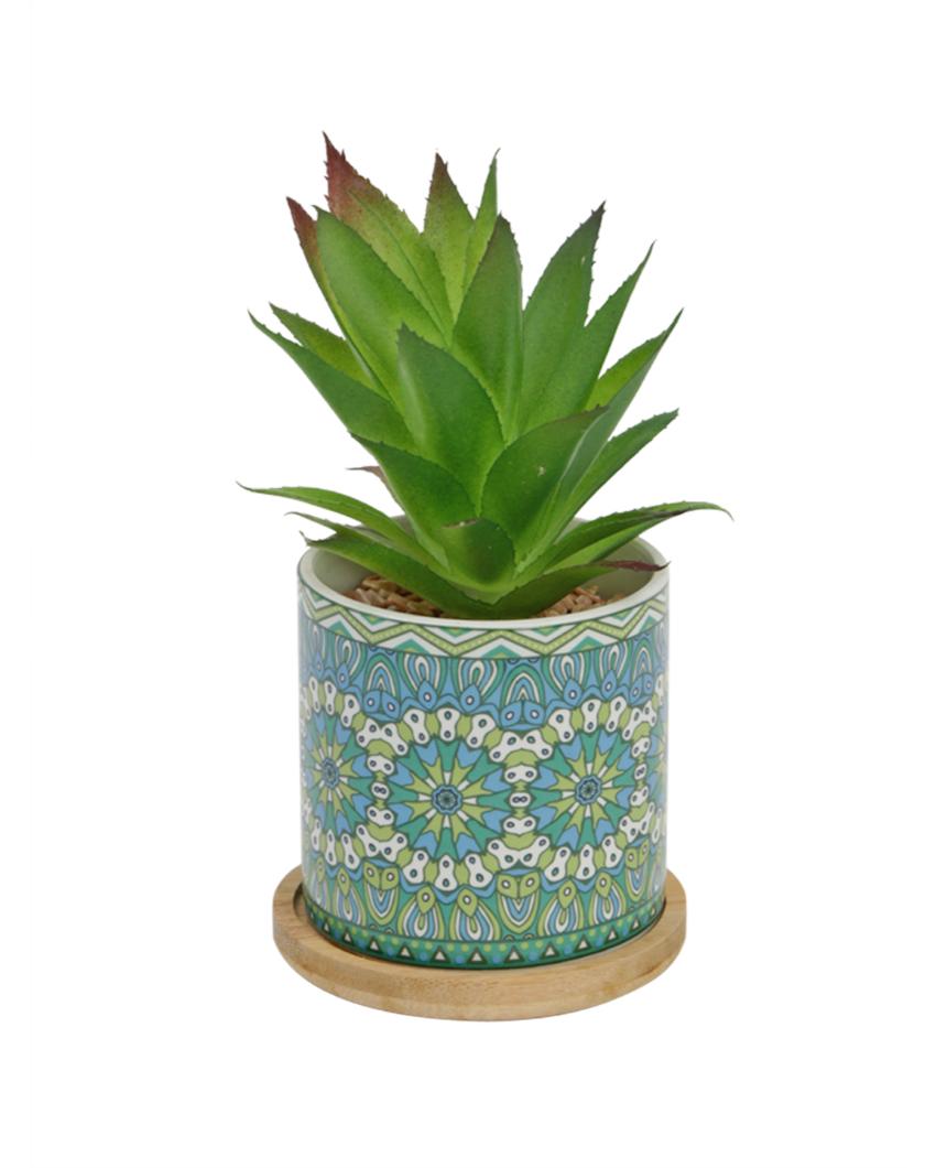 Coastal Succulents Artificial Plant with Ceramic Pot & Wooden Coaster | 7 inches