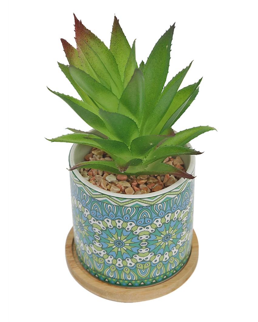 Coastal Succulents Artificial Plant with Ceramic Pot & Wooden Coaster | 7 inches