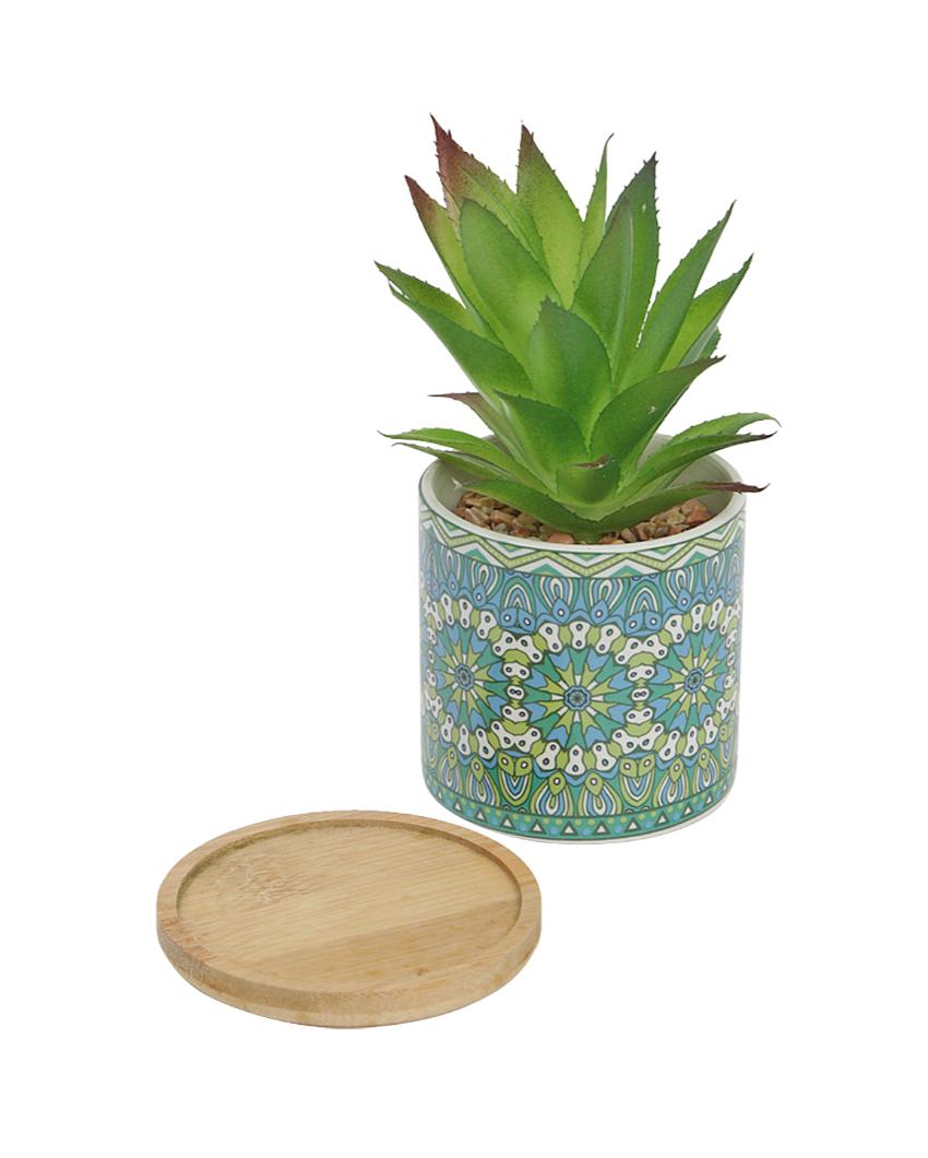 Coastal Succulents Artificial Plant with Ceramic Pot & Wooden Coaster | 7 inches