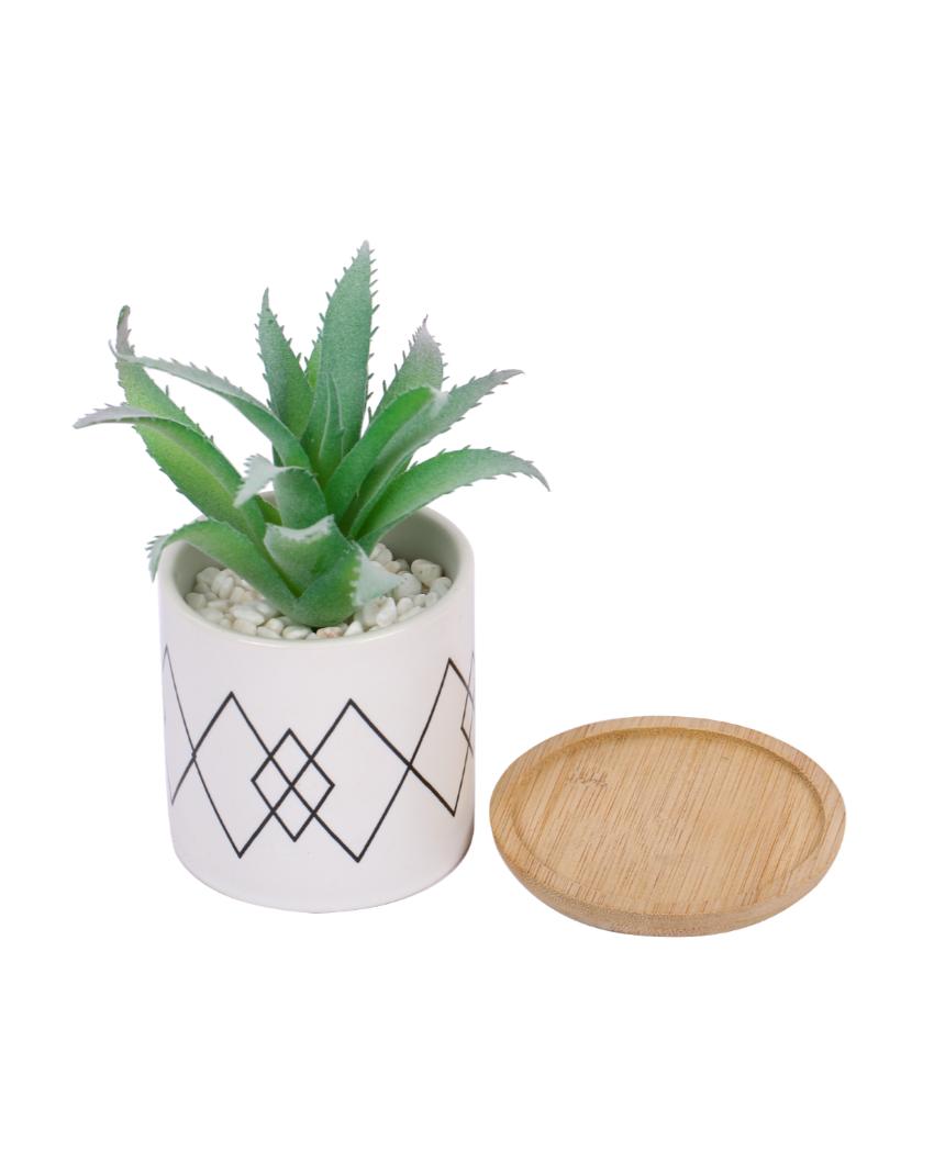 Seaside Tranquility Succulents Artificial Plant with Ceramic Pot & Wooden Coaster | 7 inches