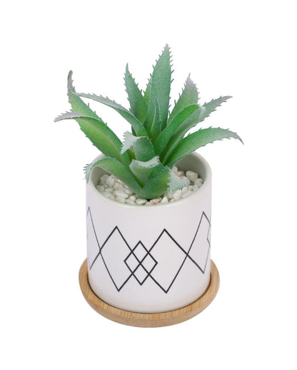 Seaside Tranquility Succulents Artificial Plant with Ceramic Pot & Wooden Coaster | 7 inches