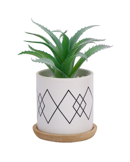 Seaside Tranquility Succulents Artificial Plant with Ceramic Pot & Wooden Coaster | 7 inches