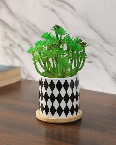 Oceanic Succulents Artificial Plant with Ceramic Pot & Wooden Coaster | 7 inches