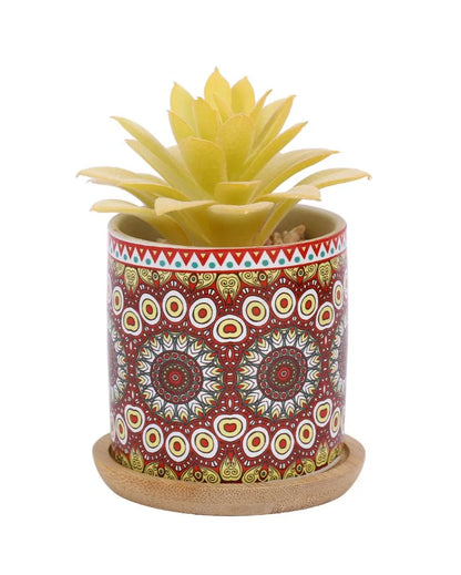 Beachy Succulents Artificial Plant with Ceramic Pot & Wooden Coaster | 5 inches