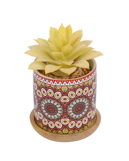 Beachy Succulents Artificial Plant with Ceramic Pot & Wooden Coaster | 5 inches