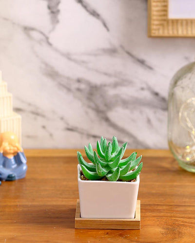 Organic Succulents Artificial Plant with Ceramic Pot & Wooden Coaster | 3 inches