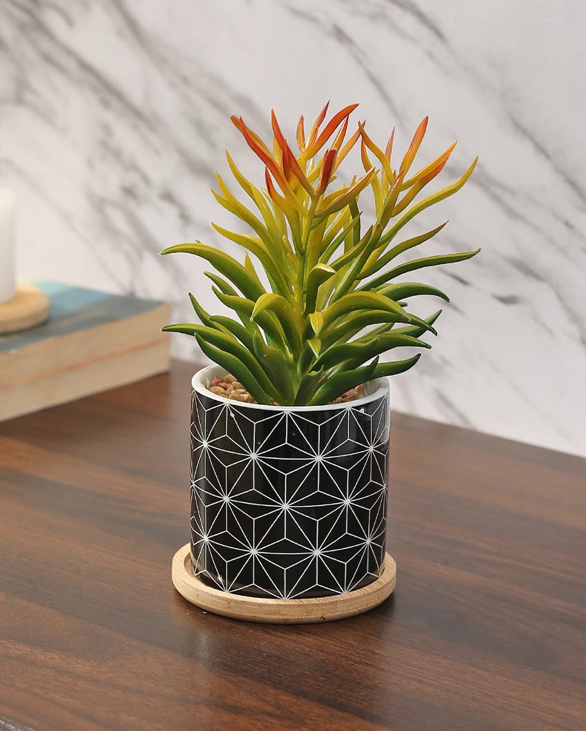 Nautical Succulents Artificial Plant with Ceramic Pot & Wooden Coaster | 7 inches