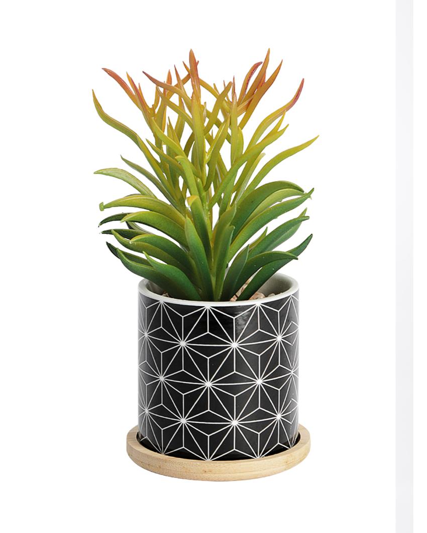 Nautical Succulents Artificial Plant with Ceramic Pot & Wooden Coaster | 7 inches