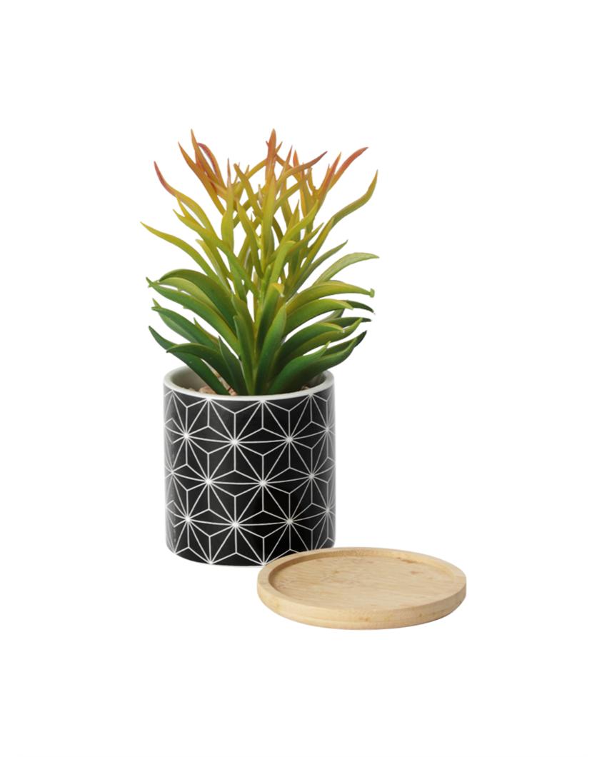 Nautical Succulents Artificial Plant with Ceramic Pot & Wooden Coaster | 7 inches