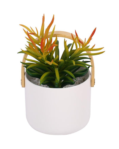 Oasis Succulents Artificial Plant with Ceramic Pot | 6 inches