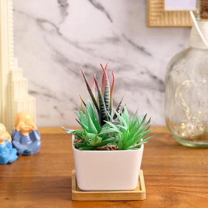 Earthy Succulents Artificial Plant with Ceramic Pot & Wooden Coaster | 6 inches