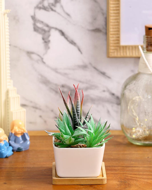 Earthy Succulents Artificial Plant with Ceramic Pot & Wooden Coaster | 6 inches