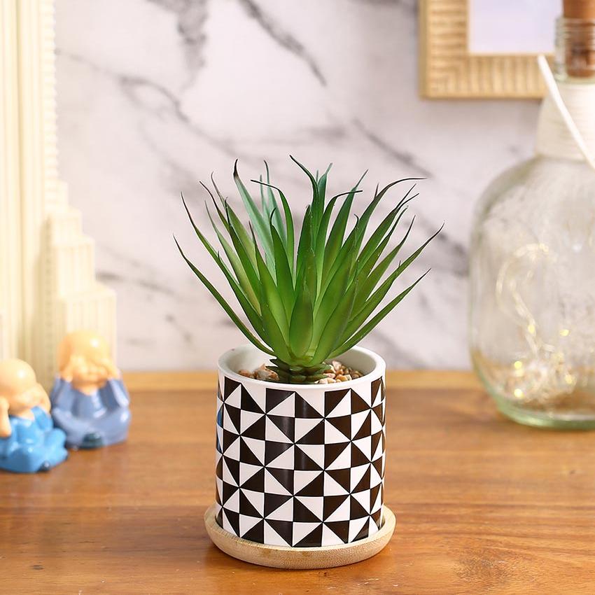 Seaside Zen Succulents Artificial Plant with Ceramic Pot & Wooden Coaster | 7 inches