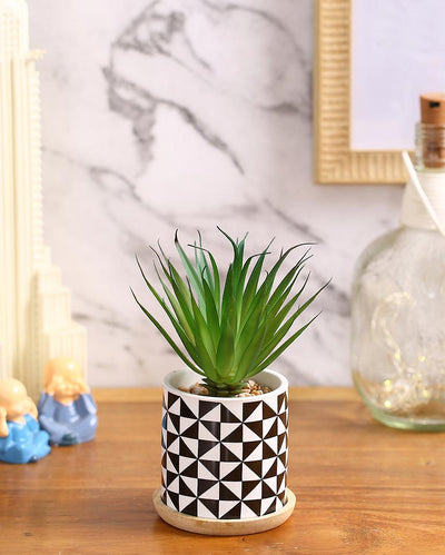 Seaside Zen Succulents Artificial Plant with Ceramic Pot & Wooden Coaster | 7 inches