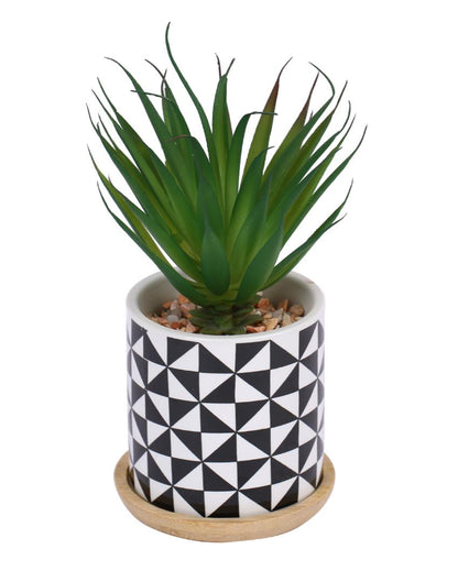 Seaside Zen Succulents Artificial Plant with Ceramic Pot & Wooden Coaster | 7 inches